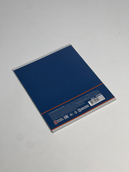 Тетрадь предметная 36 листов "Картинки"  Русский язык, со справочным материалом, обложка мелованная бумага, блок №2 (серые листы)