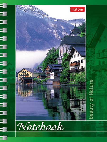 Записная книжка А6 80 л. кл. на гребне "Пейзажи"