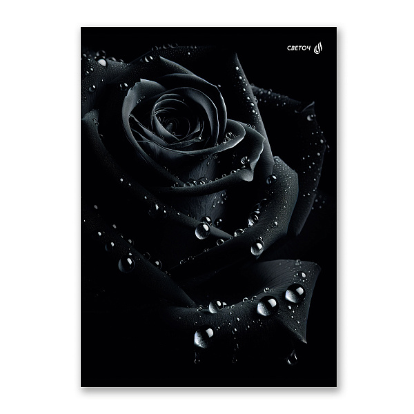 Тетрадь A4 48 л. кл. "Магия чёрного" на скобе 65 г/кв.м , белизна 100 % 01756 "Светоч"