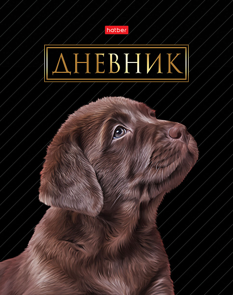 Дневник 1-11 кл. 40 л. тв.переплет "Портрет лучшего друга" глянц. ламин.