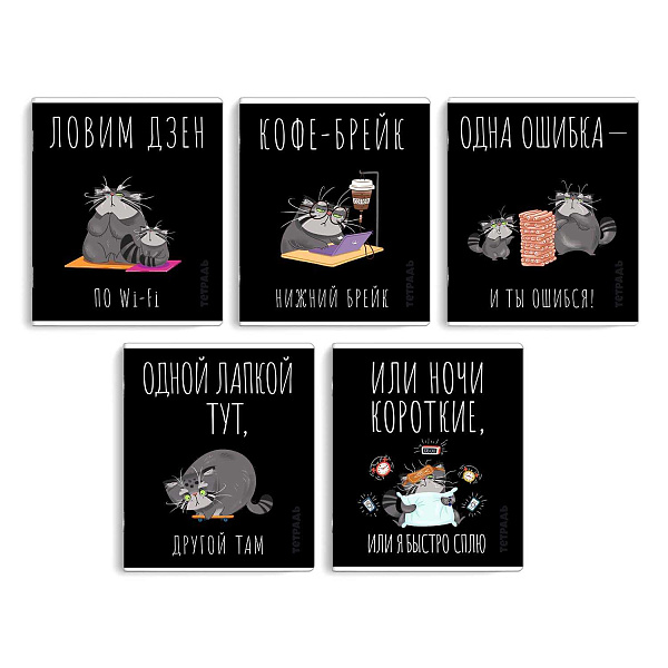 Тетрадь 48 л. кл. "СЕРЫЙ КОТ" /А5+, мягкий переплёт (2 скобы), обложка - выборочный ТВИН лак, мелованный картон 190 г/м², упаковка ассорти/