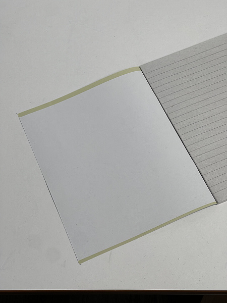 Тетрадь 36 листов, линейка, обложка мелованная бумага, блок №2, зеленая