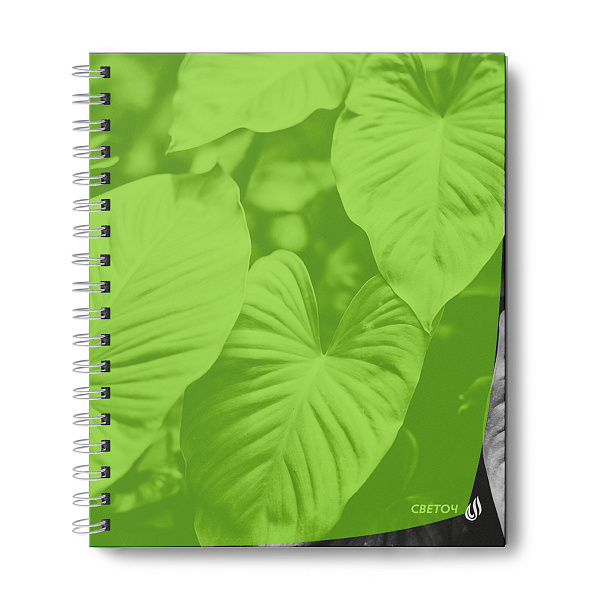 Тетрадь 48 л. кл. на гребне пластик. обложка "Тайны природы, лайм" ч/б запечат. титульн.лист, 180 мкм., A5 65 г/кв.м , белизна 100% 01546 "Светоч"