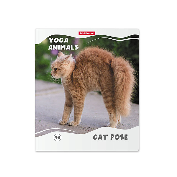Тетрадь 48 л. кл. ErichKrause "Yoga Style" матовая ламинация_MIX-PACK