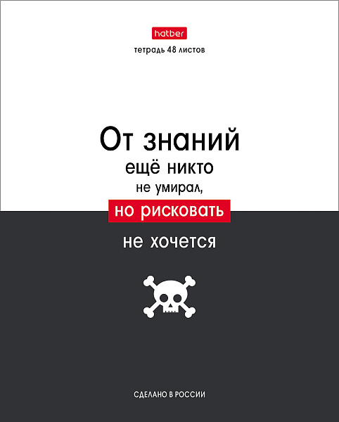 Тетрадь 48 л. кл. "Люблю школу" 65г/кв.м 10 дизайнов в коробе 