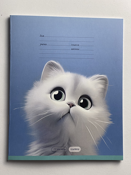 Тетрадь 12 листов в клетку обложка из мелованного картона (200г/м2), блок офсет (92%, 60г/м2), микс 5 видов