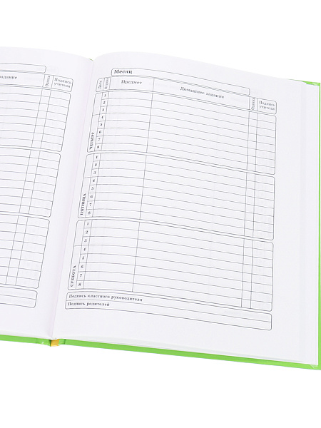 Дневник 1-4 кл. 48 л. "МОЛОДЁЖНЫЙ ТИГР" глянцевая ламинация.