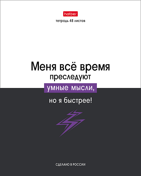 Тетрадь 48 л. кл. "Люблю школу" 65г/кв.м 10 дизайнов в коробе 