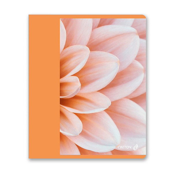 Тетрадь 96 л. кл. "Абрикосовый краш" матовая ламинация, A5 на скобе 65 г/кв.м , белизна 100%. 01005 "Светоч"