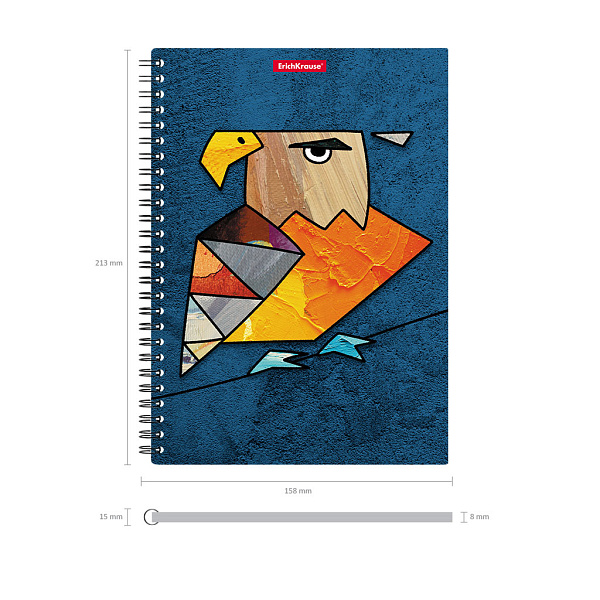Тетрадь с пластиковой обложкой на спирали ErichKrause Birds, ассорти, А5, 80 л. кл. 