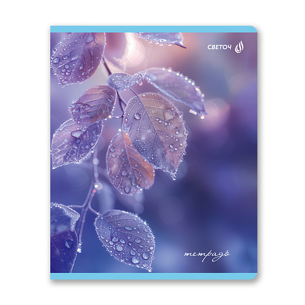 Тетрадь 48 л. кл. "Капли росы" выборочный лак, A5 на скобе 65 г/кв.м, белизна 100 % 01490 "Светоч"