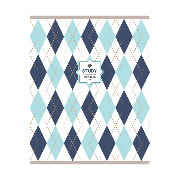 Тетрадь А5 48 листов в клетку, BG "Study", обложка мелованный картон, вд-лак, 60 г/м2, эконом