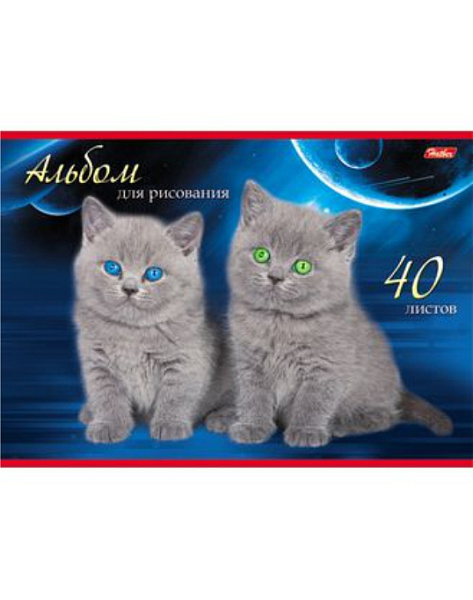 Альбом д/рис. 40 л. "Маленькие друзья"