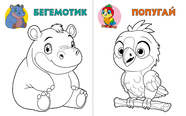Раскраска А5+ ПОСМОТРИ И РАСКРАСЬ. М"ИШУТКА"