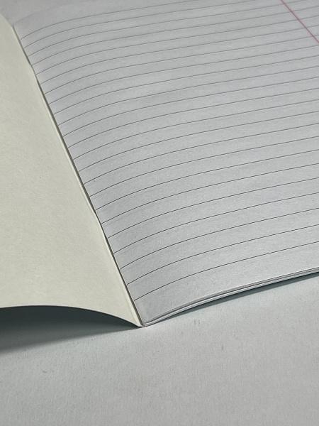 Тетрадь 18 листов в линию "Котики" обложка из мелованного картона(200 г/м²) блок офсет 60 г/м², 92%, микс 5 вид