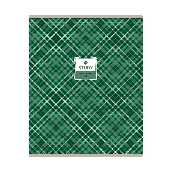 Тетрадь А5 48 листов в клетку, BG "Study", обложка мелованный картон, вд-лак, 60 г/м2, эконом