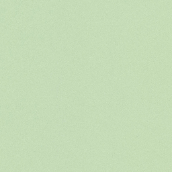 Бумага цветная "VISTA-ARTISTA"  300 г/м2 A4 21 х 29.7 см . 12 мятный/mint