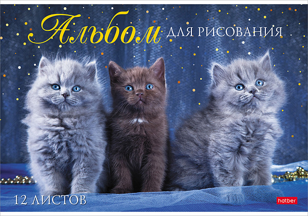 Альбом для рисования 12 листов, "Мы любим котиков", обложка мелованный картон, 100 г/м2