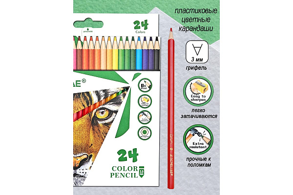Карандаши 24 цв. ACMELIAE пластиковые шестигранные, в картонном футляре