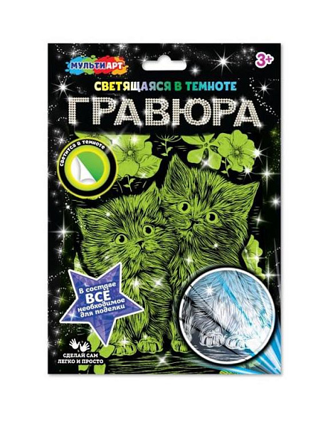 Гравюра светящаяся в темноте "Котики котики" МУЛЬТИ АРТ 
