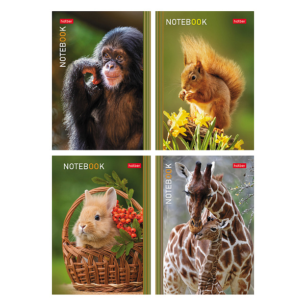 Блокнот А6 24 л. кл. "В мире животных" на скобе Обл. мел.бумага глянц. ламин. 16 дизайнов в коробе