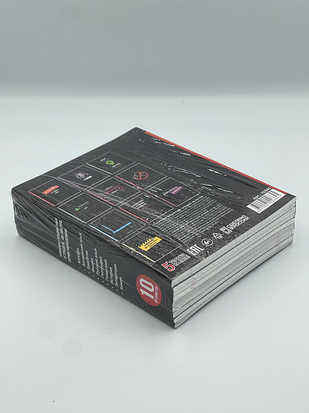 Комплект предметных тетрадей 48 листов, 10 предметов  справочный материал, обложка мелованный картон, блок офсет