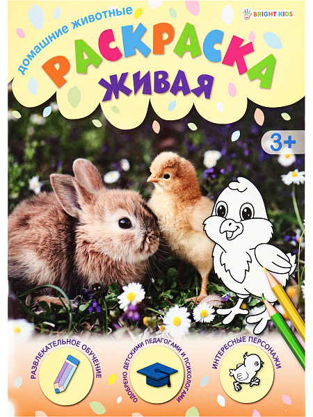 Раскраска А4 8 л. "ДОМАШНИЕ ЖИВОТНЫЕ", обл.-целл.карт, уф-лак, бл-офс,полноцв, скрепка, 198х260