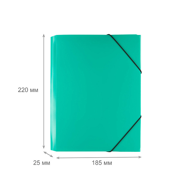 Папка на резинке А5 "Expert Complete" Classic 500 мкм 25 мм песок зеленый ЕС23444513