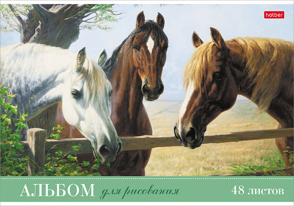 Альбом для рисования 48 листов "Ассорти" Выпуск №2 на скобе