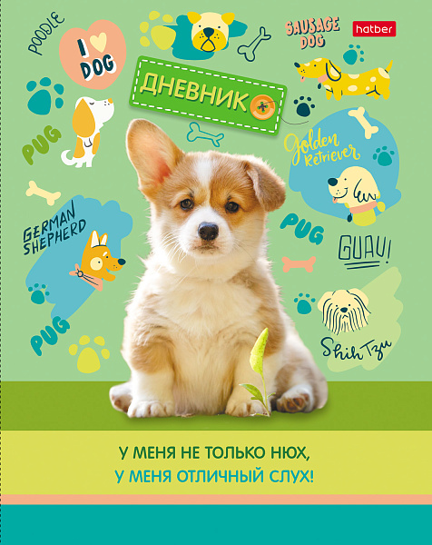 Дневник 1-11 кл. 40 л. тв.переплет "Четыре лапки" глянц. ламин. 