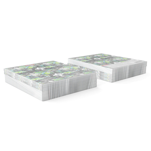 Тетрадь 96 л. кл. ErichKrause Extreme матовая ламинация