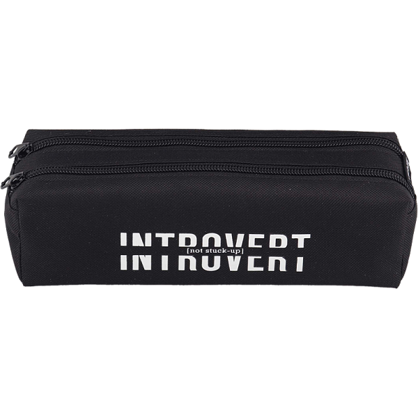 Пенал "deVENTE. Introvert" 21x6x6 см, плотный износостойкий полиэстер с водоотталкивающей пропиткой, 2 отделения на молнии, прямоугольный для 40 предметов, черный