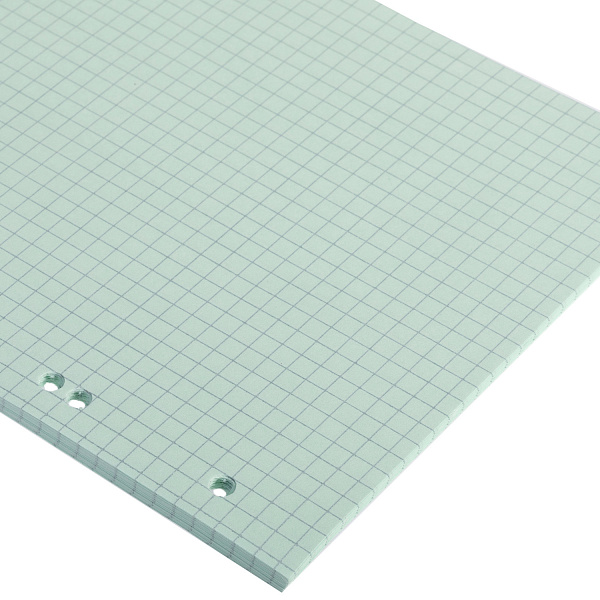 Сменный блок 50 л. А5 Нежно-зеленый-LAGOON ля тетрадей на кольцах цветной тониров.блок Универсальная перфорация  6 отверстий в индив.упак. 