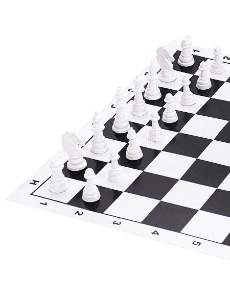 Шахматы, шашки "Рыжий кот" 28,5х28,5 см 2в1 6+ ПЛАСТИК в средней коробке с полями 