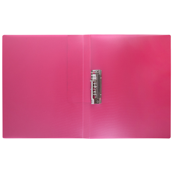 Папка с металлическим прижимом "Expert Complete"   Trend ICEberries A4   700 мкм  20 мм  1 шт. брусника