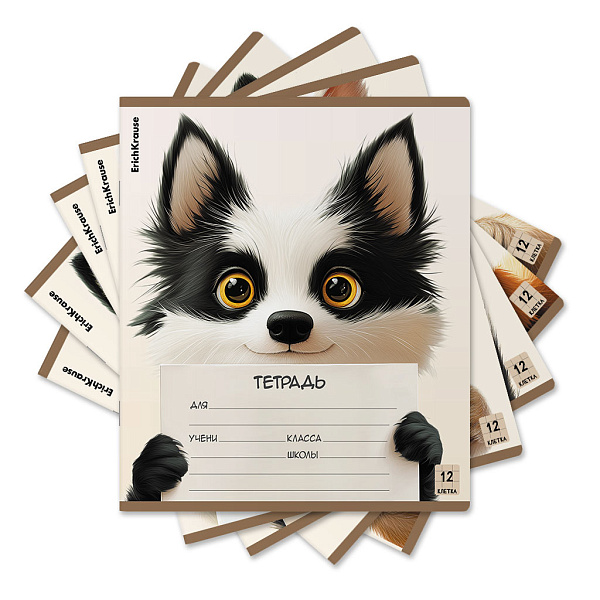 Тетрадь 12 листов в клетку ErichKrause Note Friends, (в плёнке )_MIX-PACK