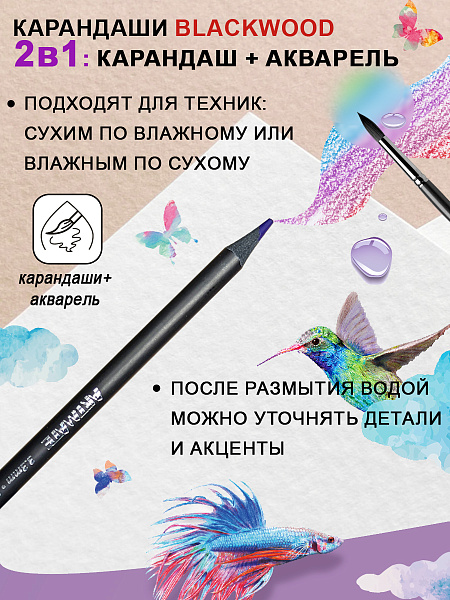 Карандаши 24 цв. акварельные ACMELIAE Blackwood +кисточка, металл футляр