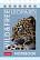 Блокнот А7 40 л. без линовки на гребне "Дикие и свободные" тонир. блок