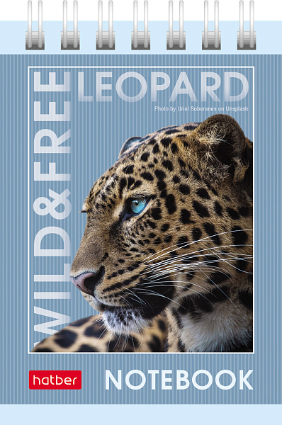 Блокнот А7 40 л. без линовки на гребне "Дикие и свободные" тонир. блок