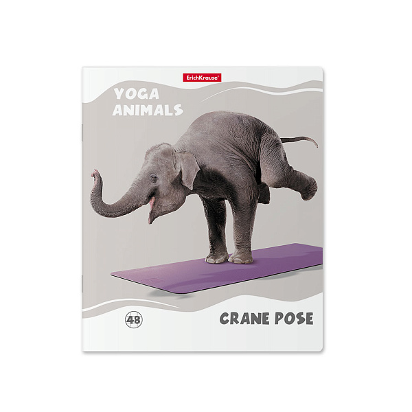 Тетрадь 48 л. кл. ErichKrause "Yoga Style" матовая ламинация_MIX-PACK