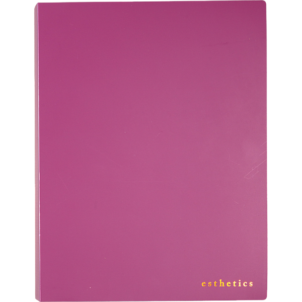 Папка 60ф А4 "deVENTE. Esthetics" полипропилен 700 мкм, бургунди, фактура "soft-touch" вкладыши 30 мкм, внутренний карман 160 мкм, индивидуальная упаковка, A4 (230x310x35 мм) 