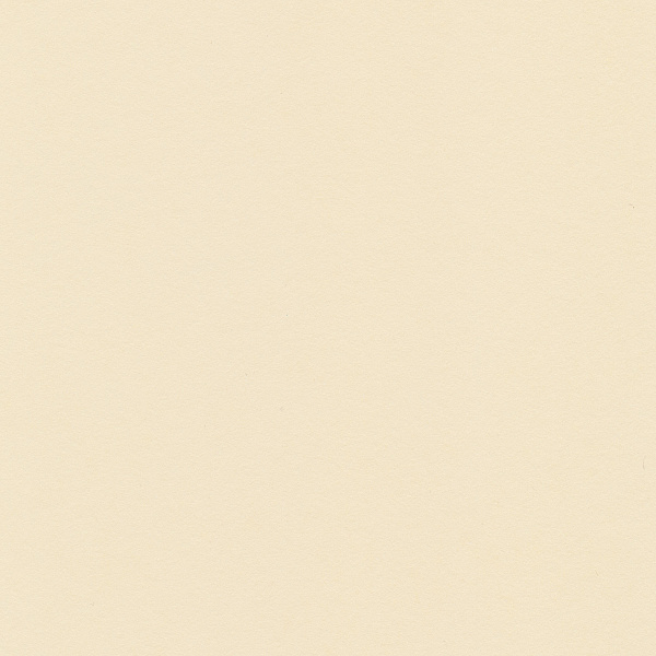Бумага цветная "VISTA-ARTISTA"  300 г/м2 A4 21 х 29.7 см . 27 холодный кремовый/cool cream