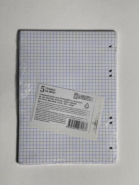 Сменный блок для тетрадей на кольцах А5, 80 листов, клетка, блок офсет, 60 гр/м, белизна 100%