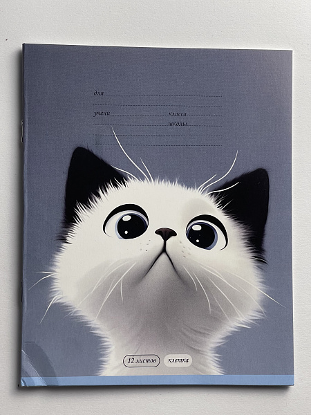 Тетрадь 12 листов в клетку обложка из мелованного картона (200г/м2), блок офсет (92%, 60г/м2), микс 5 видов