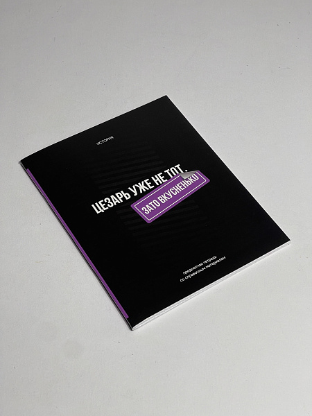 Тетрадь предметная 48 листов  "Фразочки"  История, со справочным материалом, обложка мелованный картон, блок офсет