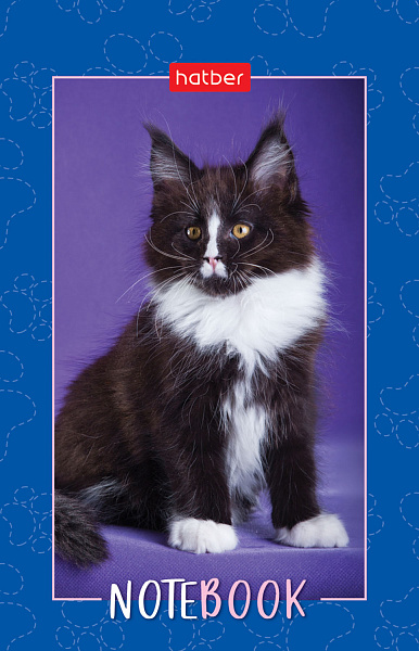 Блокнот 48л А7ф 65х100мм 3-х цв. блок клетка Обл. мел.бумага ламинация на клею серия -Пушистые лапки-