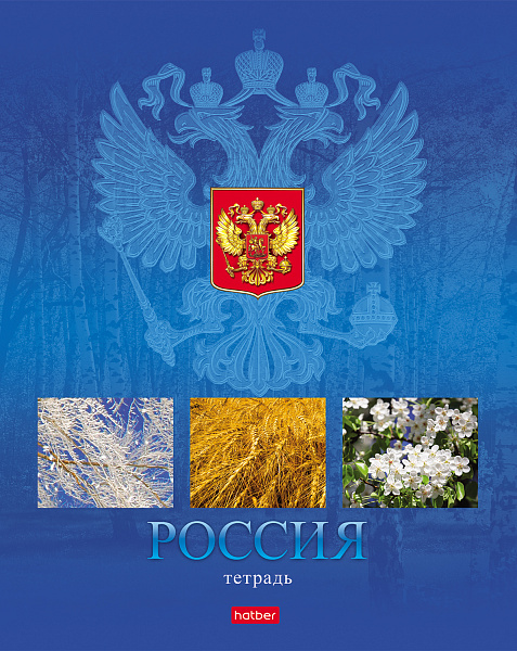 Тетрадь 48 листов в клетку "Россия"-  (с гимном) 5 диз.в блоке скругл.углы