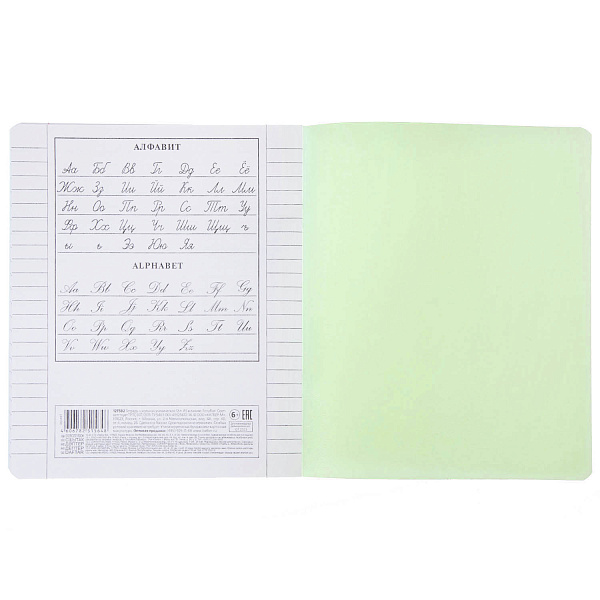 Тетрадь 12 л. лин. Пластиковая обложка "Зеленая"  65г/кв.м