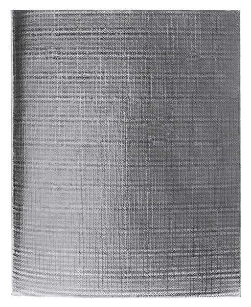 Тетрадь 48 л. кл. Бумвинил METALLIC Серебро