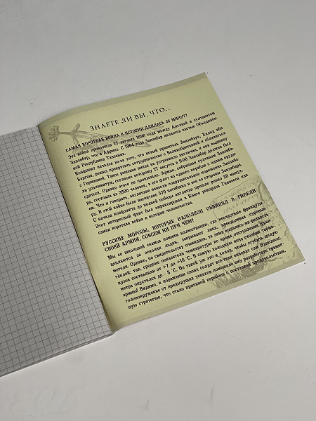 Тетрадь предметная 36 листов "Картинки" История, со справочным материалом, обложка мелованная бумага, блок №2 (серые листы)